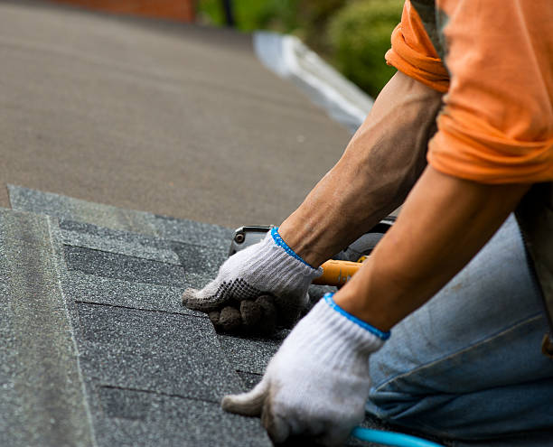 Best Storm Damage Roof Repair  in Wauregan, CT